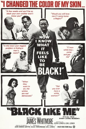 Black Like Me portada