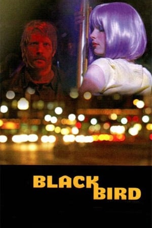 Blackbird portada