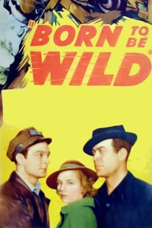 Born to Be Wild portada