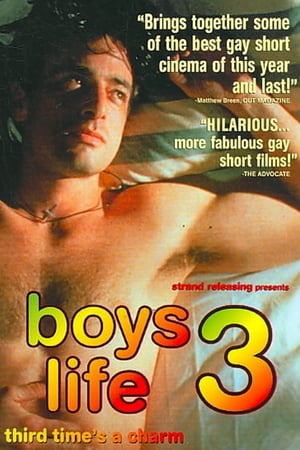 Boys Life 3 portada