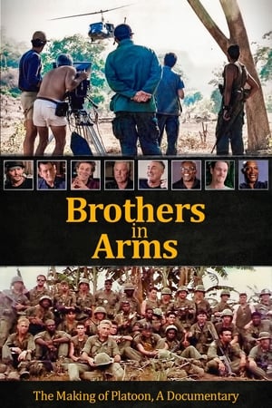 Brothers in Arms portada