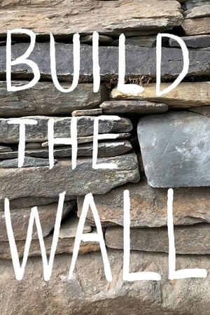 Build the Wall portada