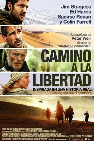 Camino a la libertad portada