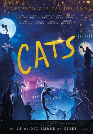 Cats portada