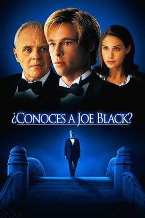 ¿Conoces a Joe Black? portada