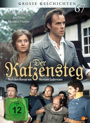 Der Katzensteg portada