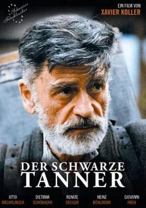 Der schwarze Tanner portada