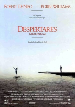 Despertares portada