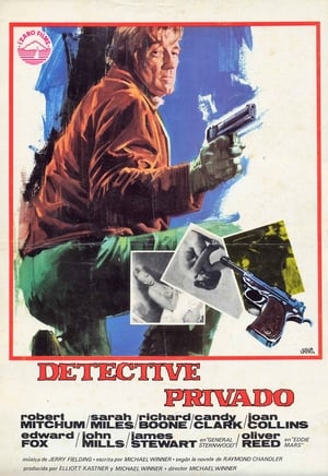 Detective privado portada