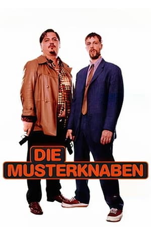 Die Musterknaben portada