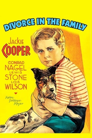 Divorce In The Family portada