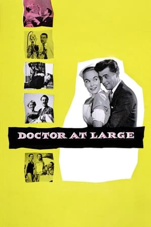 Doctor at Large portada