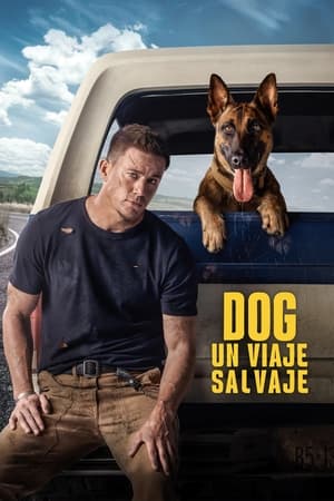 Dog - Un viaje salvaje portada