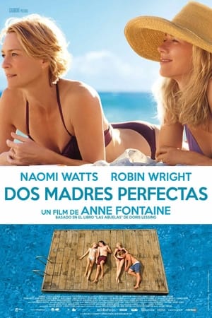 Dos madres perfectas portada