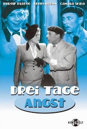 Drei Tage Angst portada