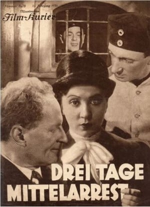 Drei Tage Mittelarrest portada