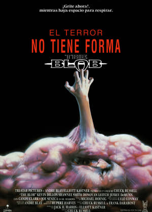 El terror no tiene forma portada