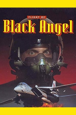 El vuelo del ángel negro portada