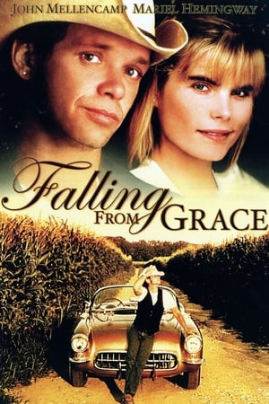 Falling from Grace portada