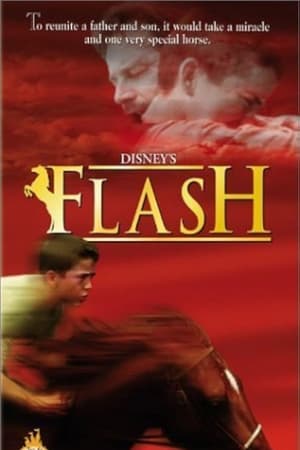 Flash portada