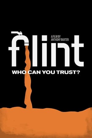 Flint portada