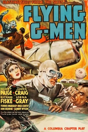 Flying G-Men portada