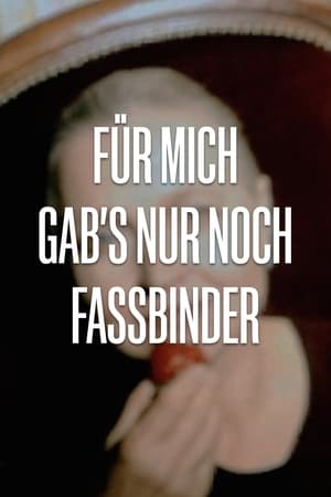 Für mich gab's nur noch Fassbinder portada