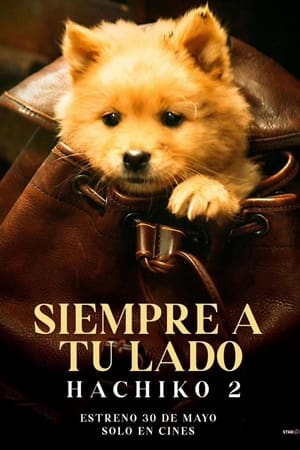 Hachiko portada