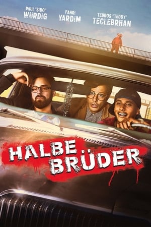 Halbe Brüder portada