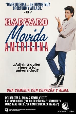 Harvard: movida americana portada