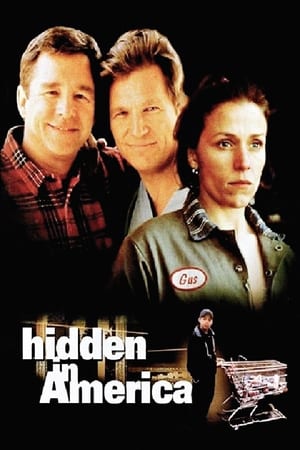 Hidden in America portada