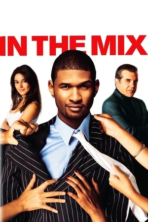 In The Mix portada