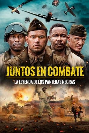 Juntos en combate portada