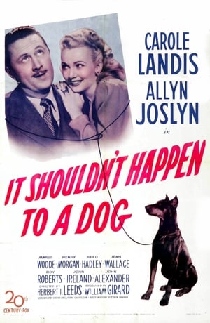 It Shouldn't Happen to a Dog portada