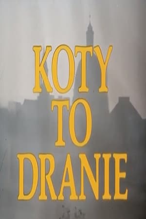 Koty to dranie portada