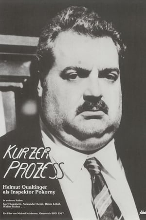 Kurzer Prozeß portada