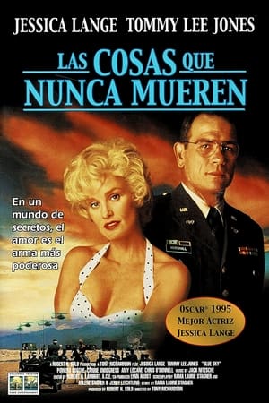 Las cosas que nunca mueren portada