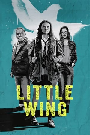 Little Wing portada