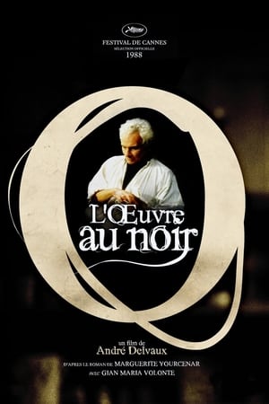 L'oeuvre au noir portada