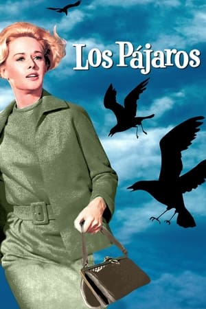 Los pájaros en la programación de M+ Clásicos HD (Cine)