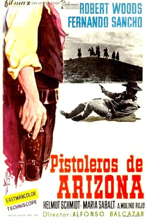 Los pistoleros de Arizona portada