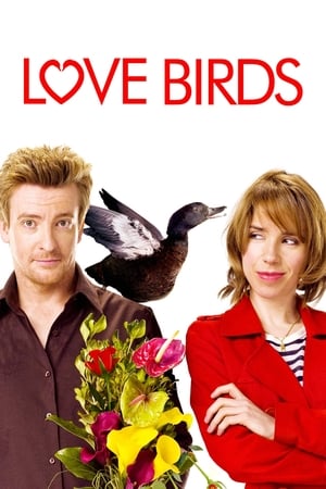 Love Birds portada