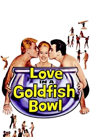 Love in a Goldfish Bowl portada