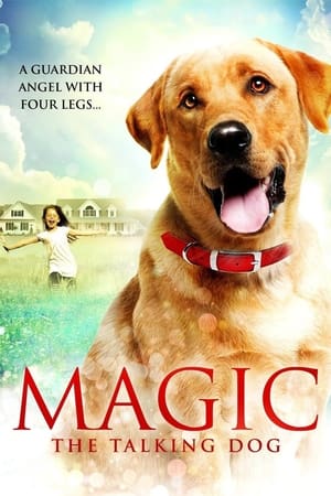 Magic portada