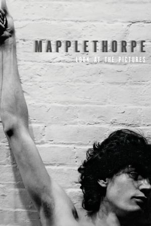 Mapplethorpe: Look at the Pictures portada