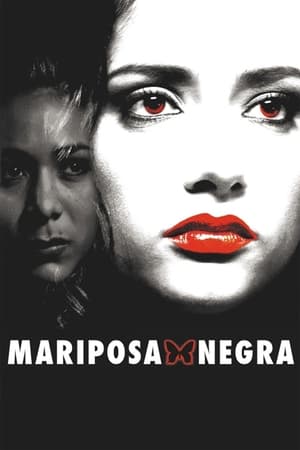 Mariposa negra portada