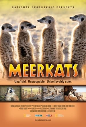 Meerkats 3D portada