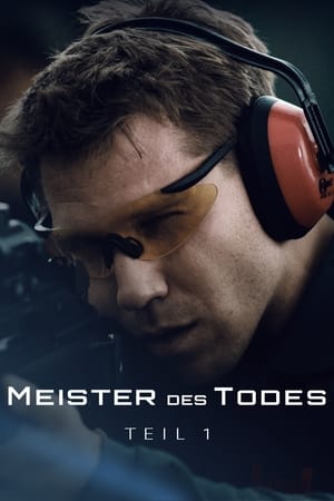 Meister des Todes portada