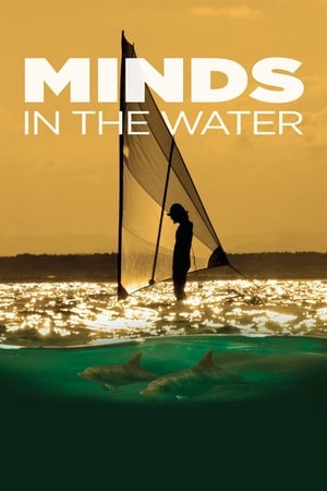 Minds in the Water portada