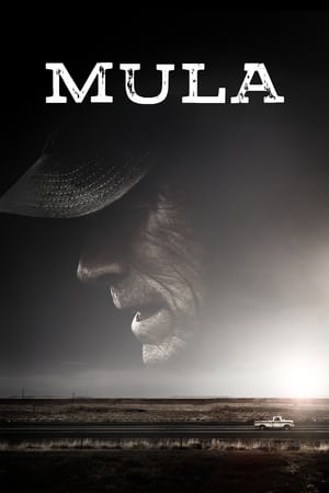 Mula portada